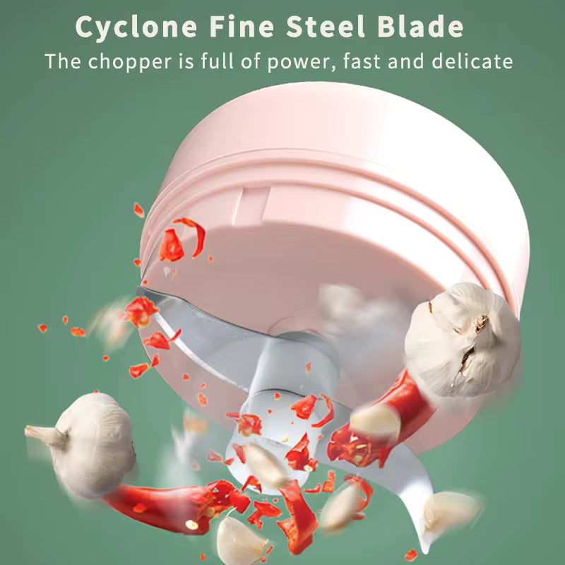 HiPiCok hachoir à viande électrique broyeur d'ail hachoir alimentaire Mini